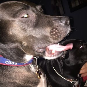 Meet your Posher, Jill