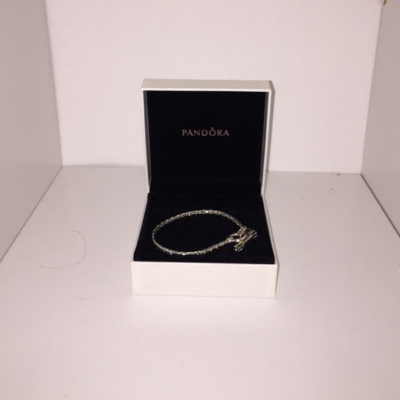 Pandora flexible Chain!