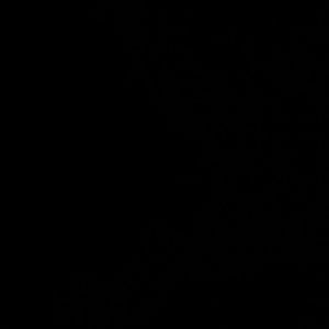 Meet your Posher, Bee