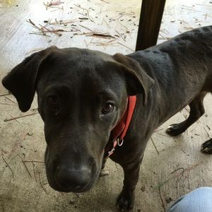 Meet your Posher, Cindi