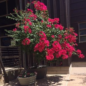 Meet your Posher, Erika