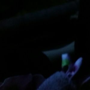 Meet your Posher, Pamela