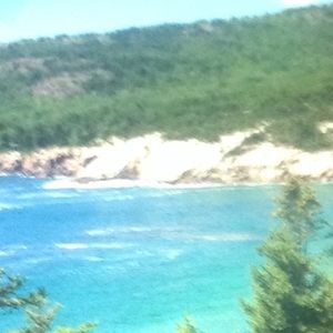 Meet your Posher, Evelyn