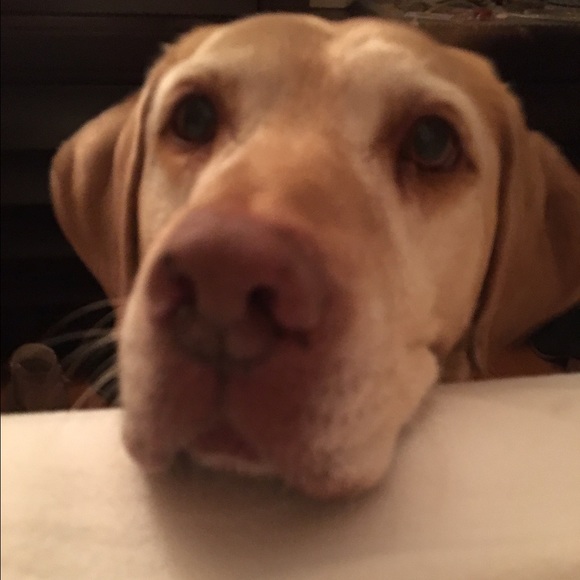 Meet your Posher, Cathy - Picture 2 of 2