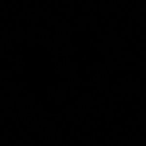 Meet your Posher, Maureen