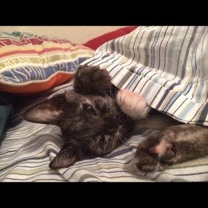 Meet your Posher, Kristina