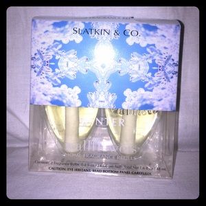 WINTER Wallflower bulbs by Slatkin & CO.