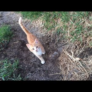 Meet your Posher, Taylor