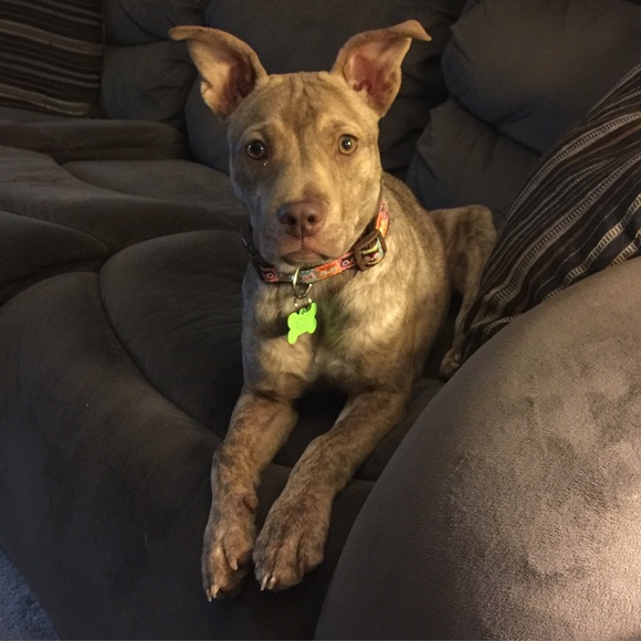 Meet your Posher, Katy - Picture 1 of 1