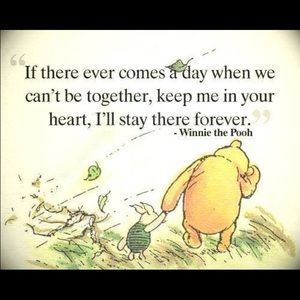 Meet your Posher, Donna