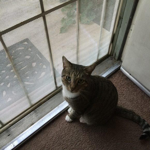 Meet your Posher, Lili