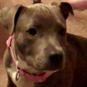 Meet your Posher, Sue