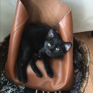 Meet your Posher, Tara