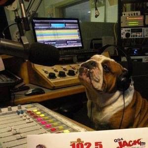 Meet your Posher, Regina