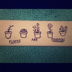 Brandy Melville Sign