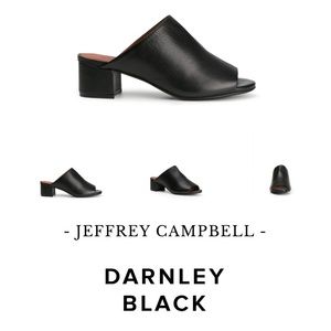 🎉⚡️FLASH SALE 🎉Darnley By Jeffrey Campbell🌹