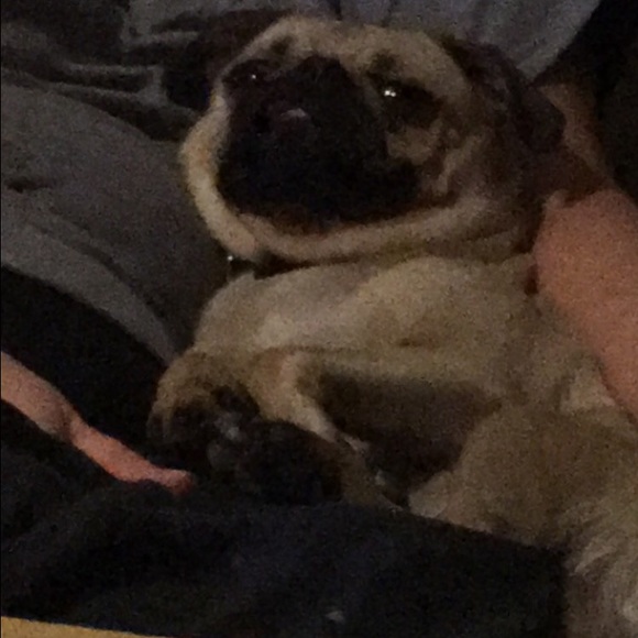 Meet your Posher, Alyssa - Picture 1 of 1