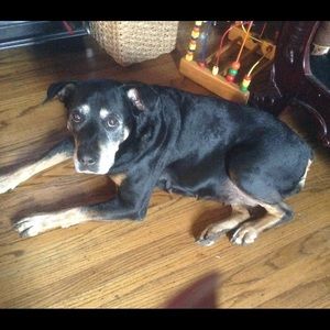 Meet your Posher, Rosa