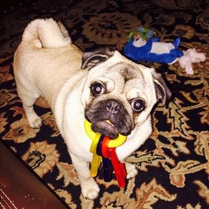 Meet your Posher, Becky