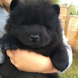 Meet your Posher, Ben