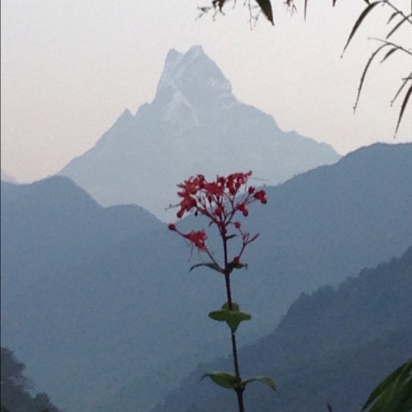 Meet your Posher, Michaela - Picture 1 of 1