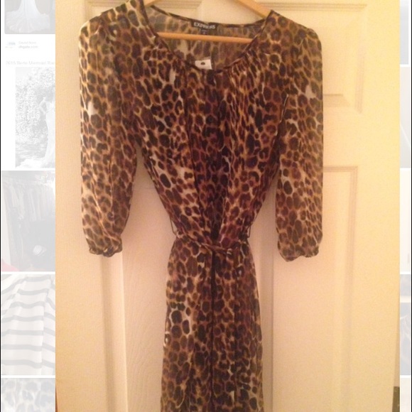 Leopard express dress