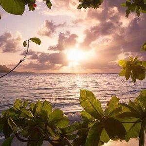 Meet your Posher, Cameron