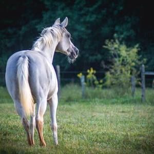 Meet your Posher, Maria