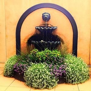 Meet your Posher, Anne marie