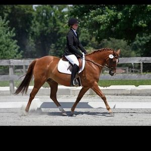 Meet your Posher, Stacy