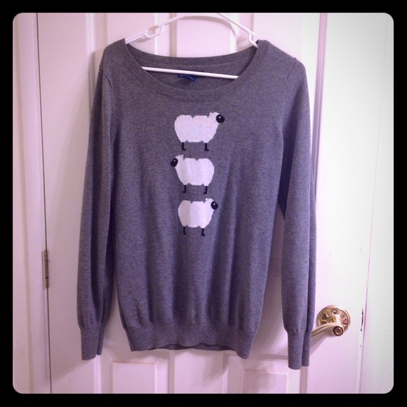 Soft gray sheep sweater