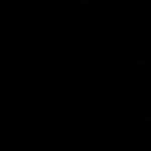 Meet your Posher, Aleyia