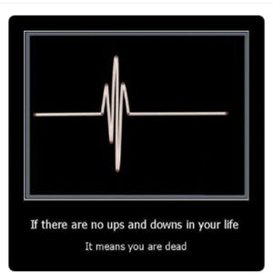 Meet your Posher, Ashlee