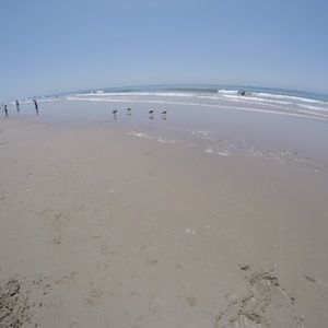 Meet your Posher, Jacqueline