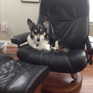 Meet your Posher, Dani