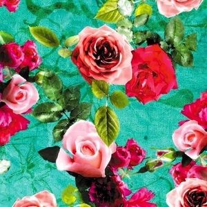 Meet your Posher, Lizbeth