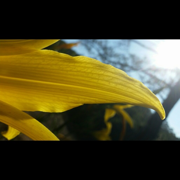 Meet your Posher, James - Picture 1 of 1