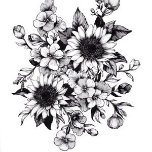 Meet your Posher, Colleen