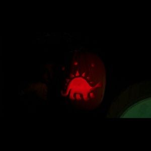 Meet your Posher, Cassandra