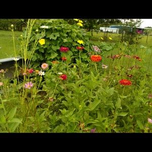 Meet your Posher, Brandy