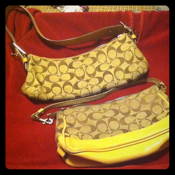 30 minute sale!! Two purses