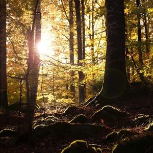 Meet your Posher, Alexa