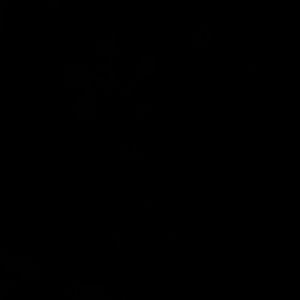 Meet your Posher, Julissa