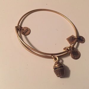 Cupcake Alex and Ani