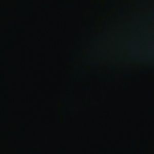 Meet your Posher, Oscar