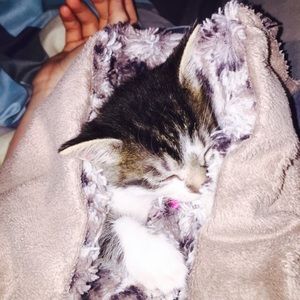 Meet your Posher, Allison