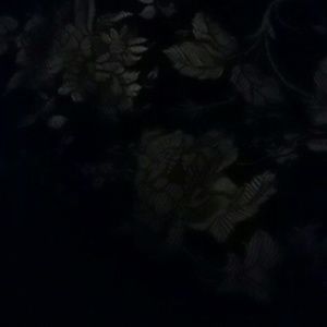 Meet your Posher, Pepe