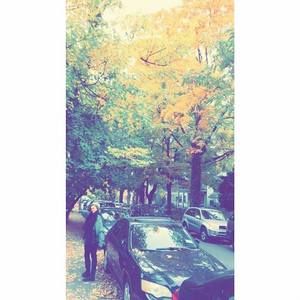 Meet your Posher, Natalie