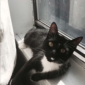 Meet your Posher, Carina