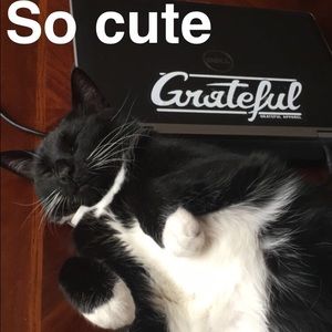 Meet your Posher, Jacob